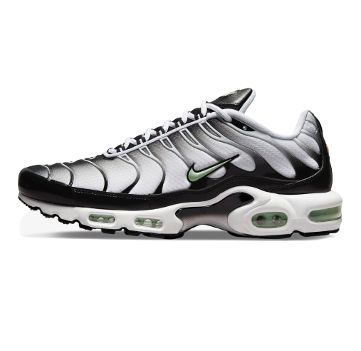 Air Max Plus TN 1 “Seafoan”