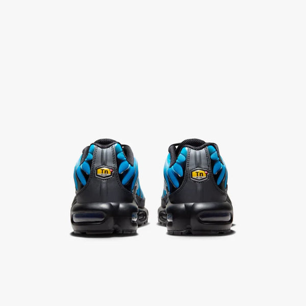 NIKE AIR MAX PLUS TN ''BLUE GRADIENT''